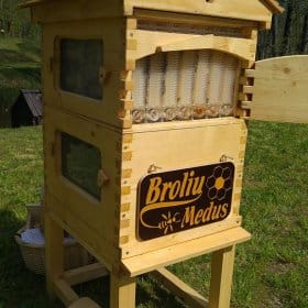 Srautiniai bičių aviliai: aukštosios technologijos ir bitynuose 2 18556693 1831790097140761 5371721181235006520 o