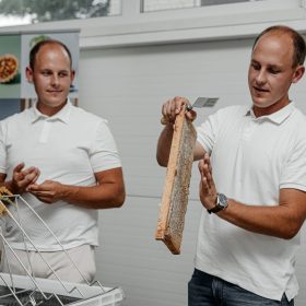 Tvarus verslas: ar tikrai bičių vieta ant dangoraižių stogų? 6 Miesto bitininkystė
