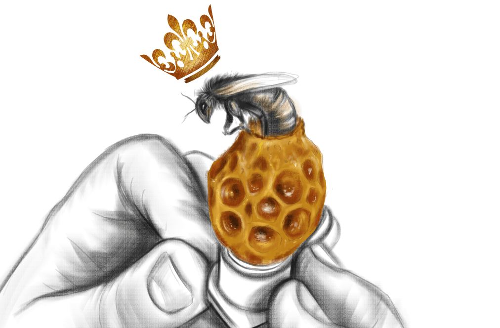 bičių motinėlė